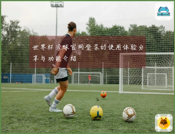 世界杯买球官网登录的使用体验分享与功能介绍