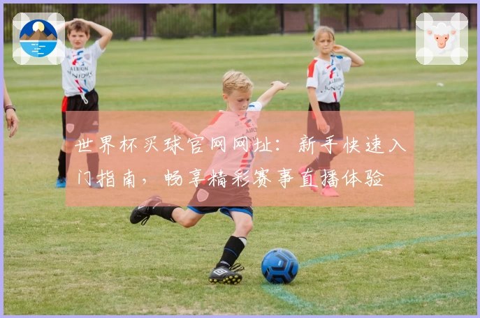 世界杯买球官网网址：新手快速入门指南，畅享精彩赛事直播体验