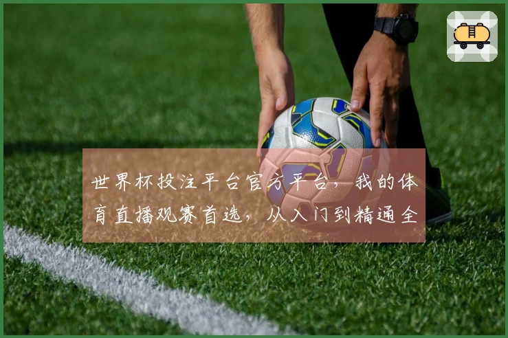 世界杯投注平台官方平台，我的体育直播观赛首选，从入门到精通全方位指引
