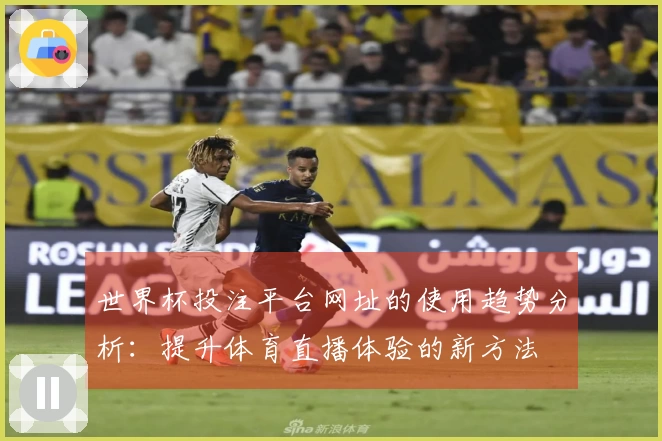 世界杯投注平台网址的使用趋势分析：提升体育直播体验的新方法